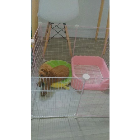 Chuồng quây thú cưng lắp ráp 70x70 cao 45 kèm chốt