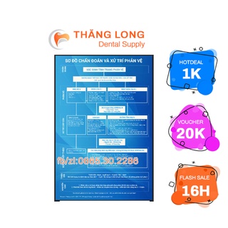 TRANH CHẨN ĐOÁN VÀ XỬ TRÍ PHẢN VỆ - PHÁC ĐỒ MỚI NHẤT CỦA BYT (TRANH CÁN BÓNG)