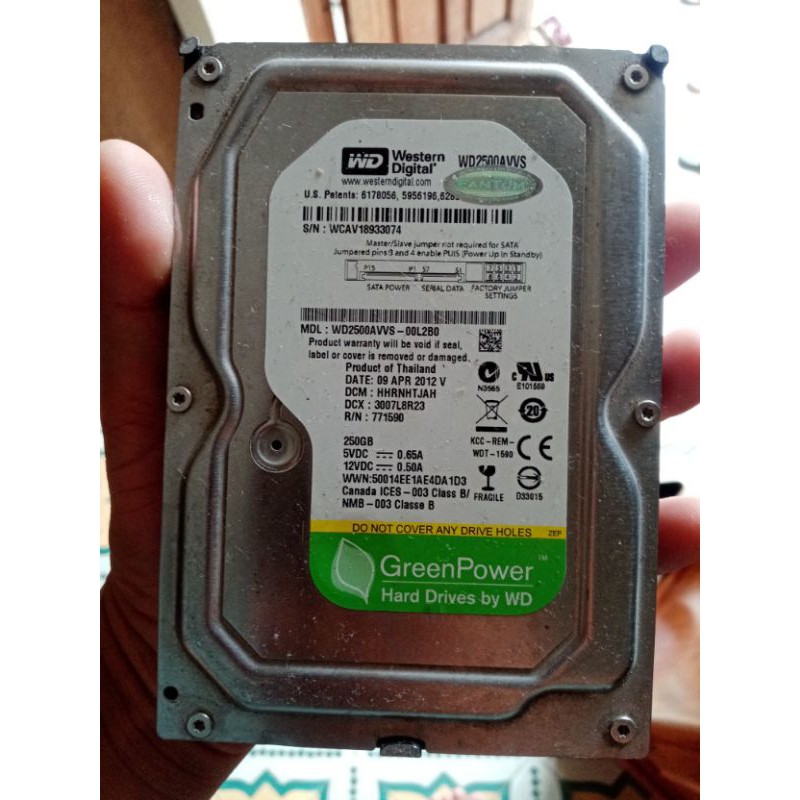 hdd 250gb wd