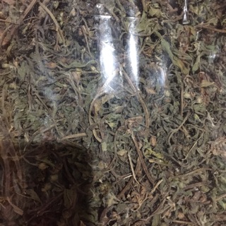 1kg cây cỏ mực ( cây nhọ nồi) giúp cầm máu đen tóc