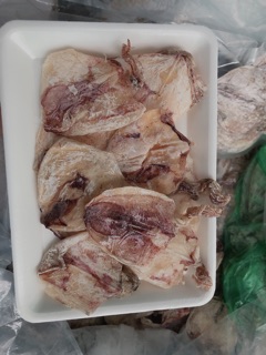Mực khô mini kiên giang