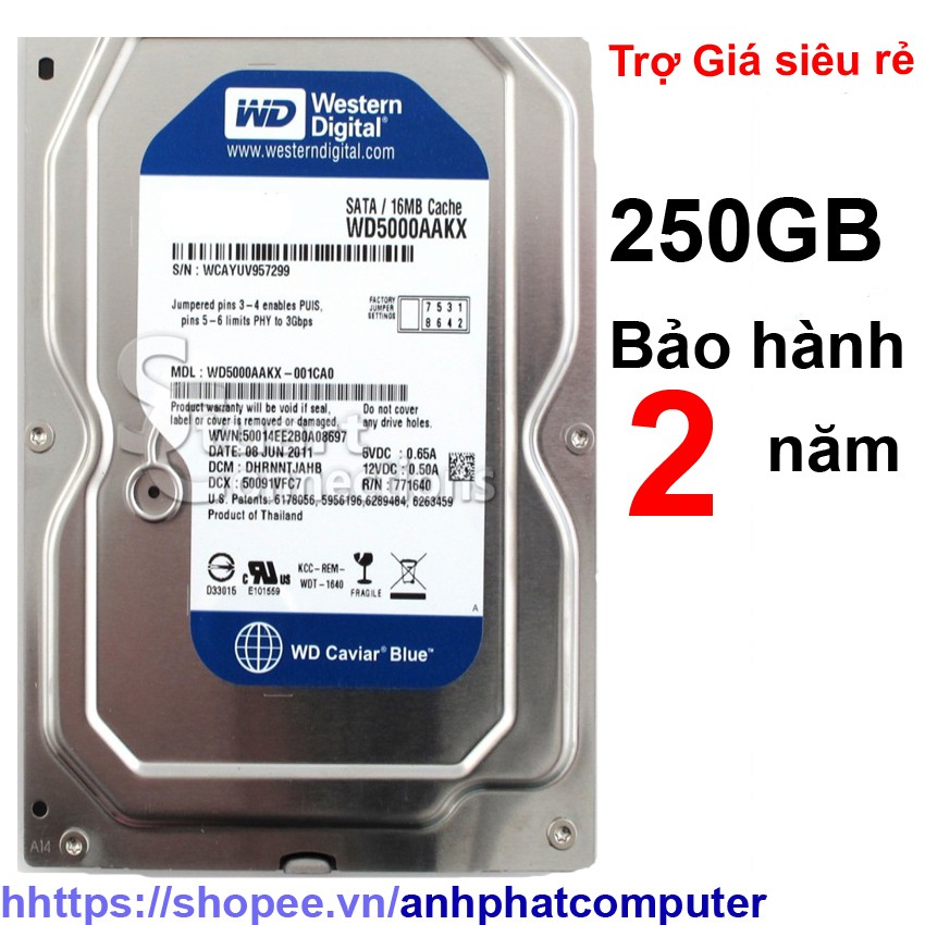 Ổ cứng hdd 250GB WD Xanh hổ trợ cài sẵn win bảo hành 2 năm