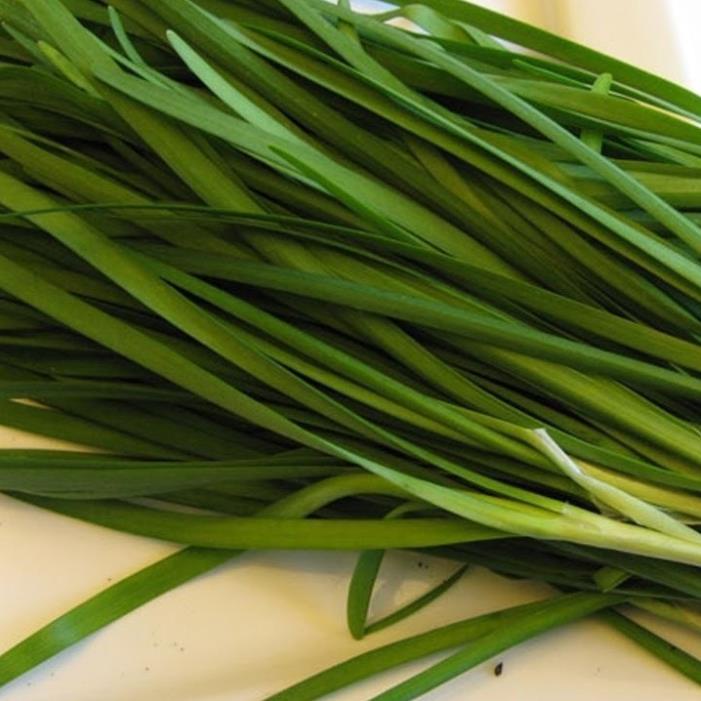 Hạt Giống Hẹ Lá - Gói 1 Gram