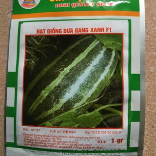 HẠT GIỐNG DƯA GANG XANH F1