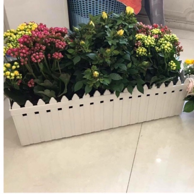 Chậu nhựa trồng cây