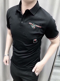 Áo phông nam có cổ
