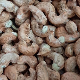 Hạt điều tươi nguyên hạt, nguyên vỏ lụa