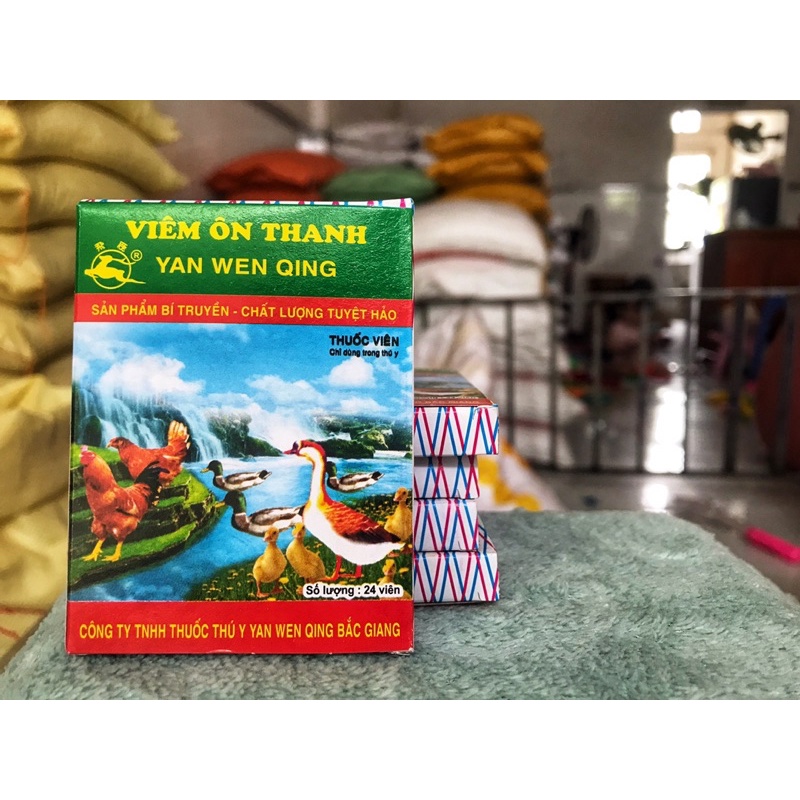 FLOSAL D & VIÊM ÔN THANH - bộ đôi điều trị khò khè, sổ mũi ở gà