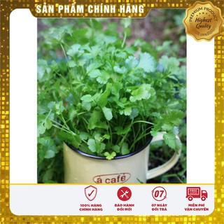 Hạt giống rau gi vị COMBO 08 Loại