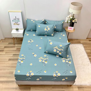 9.GA GỐI LẺ COTTON LỤA ( ảnh shop tự chụp )