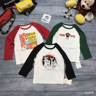Áo raglan cổ tròn in hình chó A1858