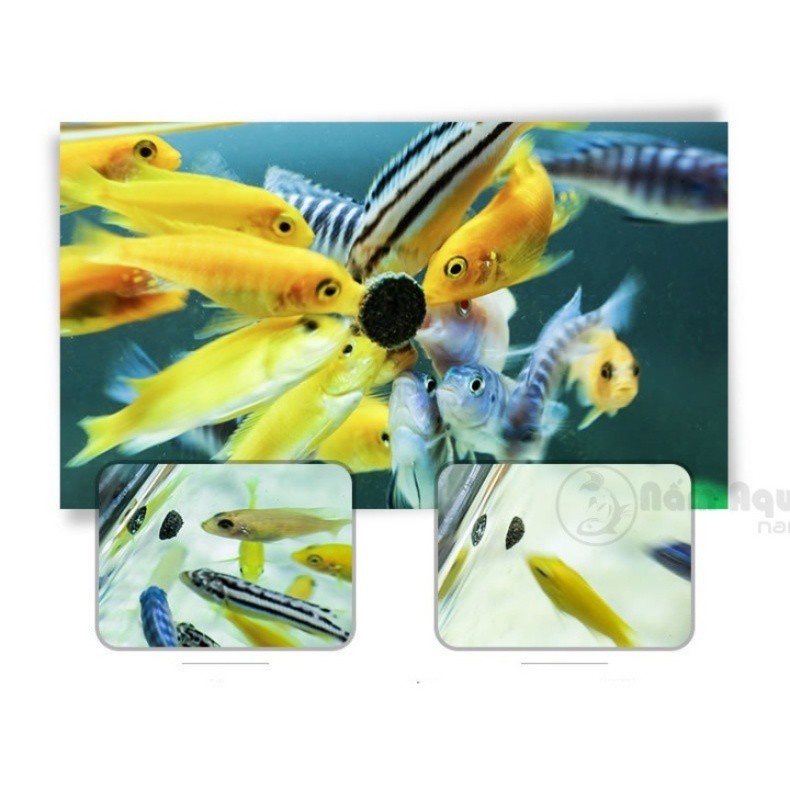 SUNSUN Fish Food SL-13 | SL-14 || Thức Ăn Dán Đặc Biệt SunSun Dành Cho Các Loại Cá Nhỏ, Cá Thuỷ Sinh