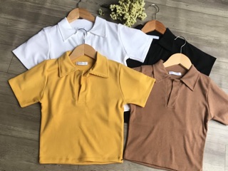Áo Croptop Nữ Cổ Trụ Polo Form Ôm Chất Bozip Co Giãn Thoáng Mát – Áo Thun Polo Basic CinZy SG