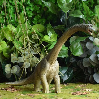 Sile schleich Brachiosaurus 14581 Mô hình khủng long Động vật Đồ chơi phỏng Jurassic World Gift Doll