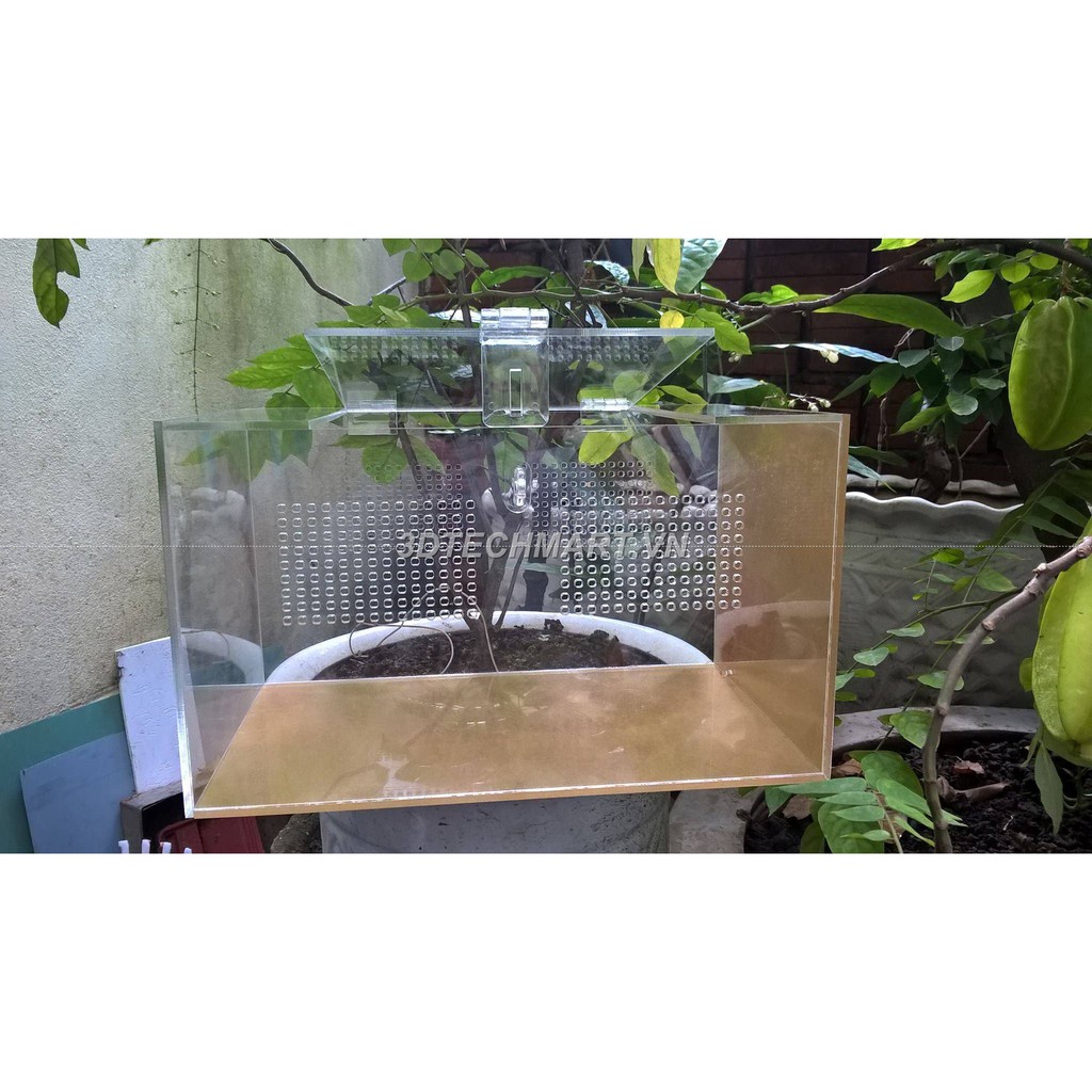 Hộp Nuôi Nhện Cao Cấp 30-20-20 Dán (tank tarantula) chỉ tank