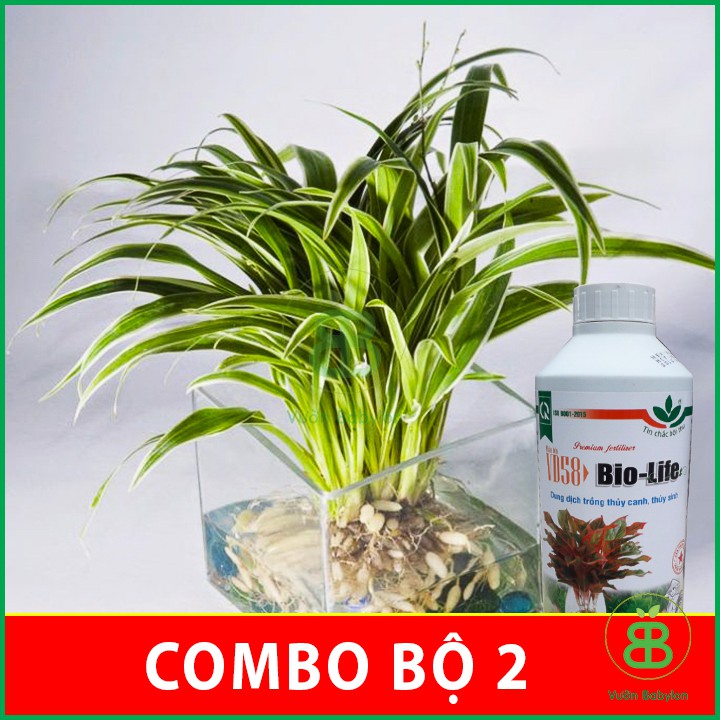 Dung dịch thủy canh – thủy sinh Bio-Life 1 Lít 2 CHAI