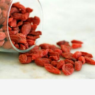 Kỹ tử cho hamster nhím sóc