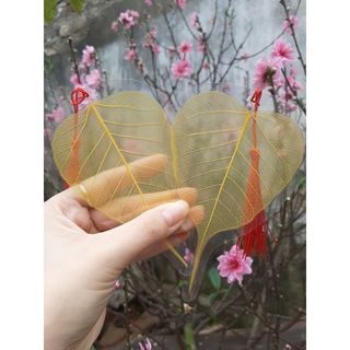 Lá bồ đề ép sẵn viết thư pháp