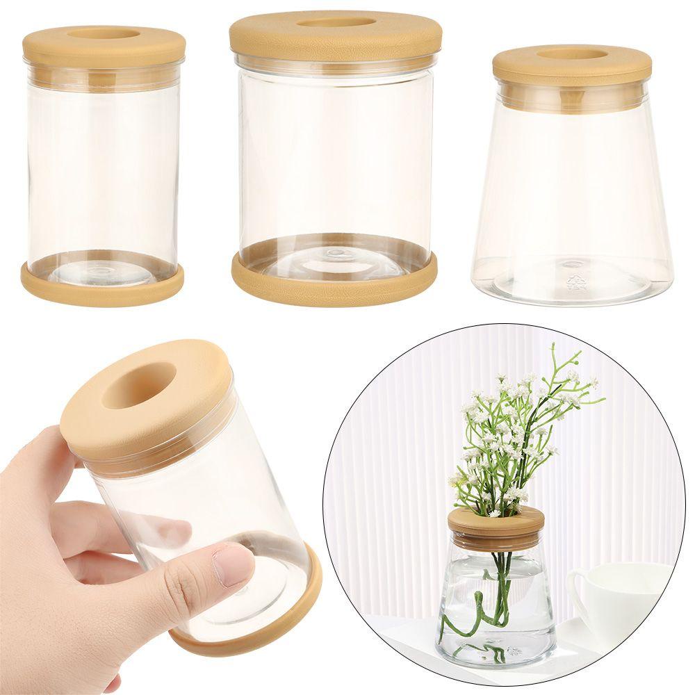 Chậu Trồng Cây Xương Rồng Giải Trí Trong Nhà