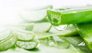 Kem lô hội dưỡng da dabo