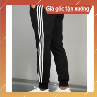 Quần dài thể thao jogger 3 sọc co giãn ống suông nam thu đông qt42
