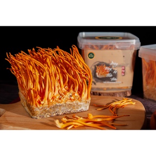 Đông Trùng Hạ Thảo tươi 150gr