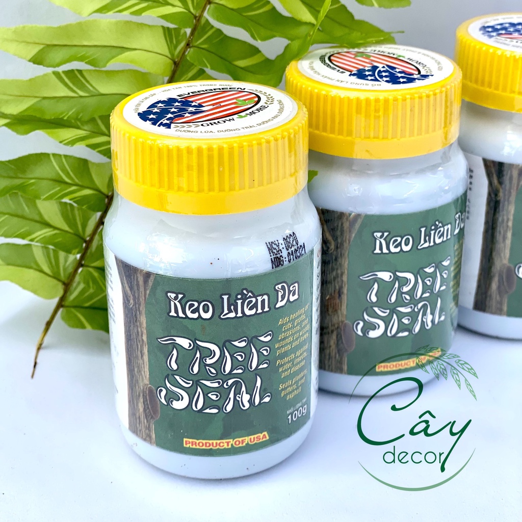 Keo liền sẹo TREE SEAL lọ 100g, hàng USA chất lượng cao