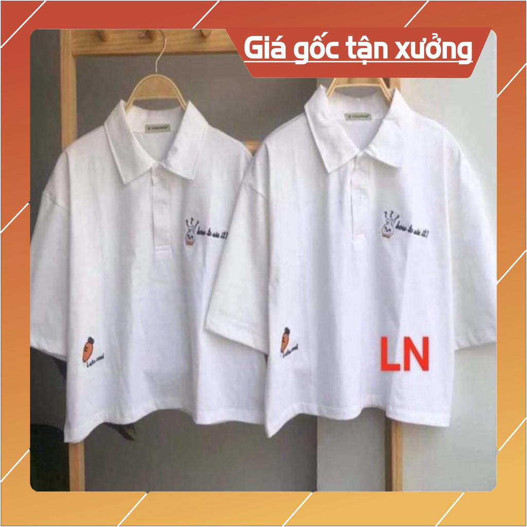 Áo polo lô gô củ cà rốt hông LN12