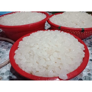 Hạt đác  tươi