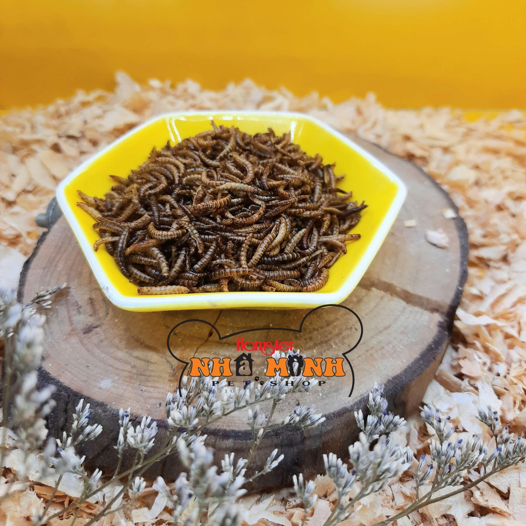 Thức ăn dặm cho hamster