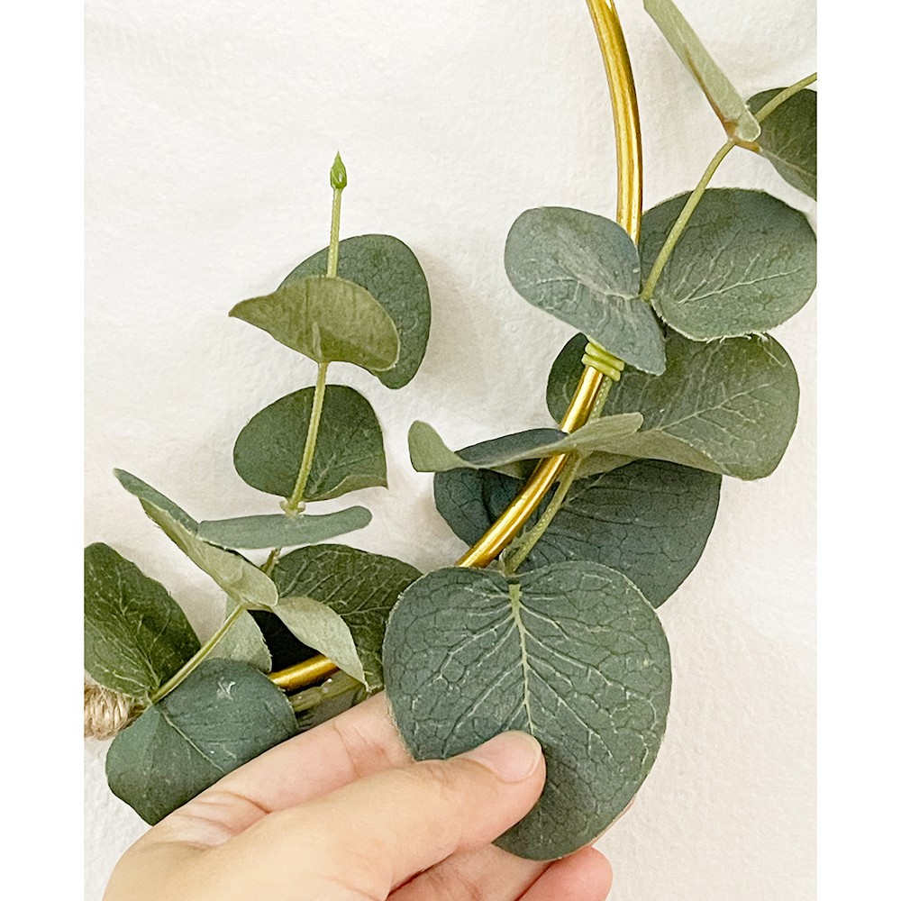 Vòng lá Eucalyptus treo trang trí tường