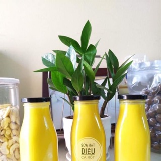 Combo 12 chai sữa 300ml