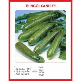 Hạt giống Bí Ngồi Xanh 10 Hạt luckyseed hạt siêu rẻ