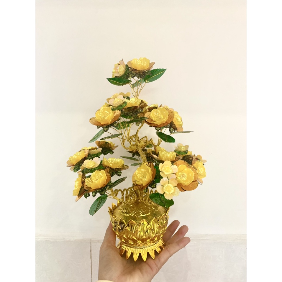 Lá Ngọc Cành Vàng cao 35cm