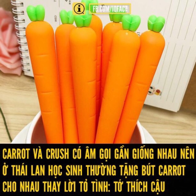 Bút Bi Nước cà rốt set Viết Mực nước đen pilu BUTNUOC20