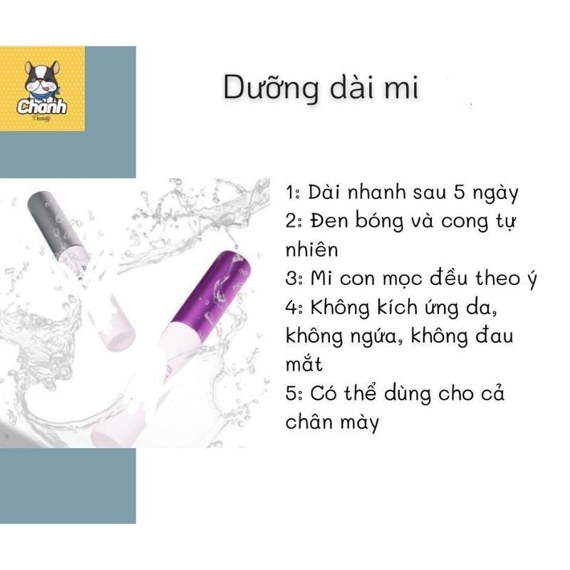 CẶP ĐÔI DÀI MI