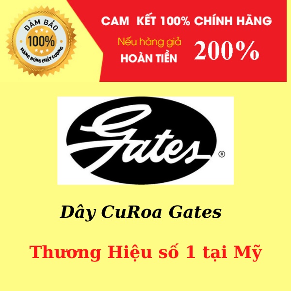 Dây curoa I10, I10 Grand 1.0 G3LA Từ năm 2013-2021| Chính Hãng Gates - Mỹ 5PK1245