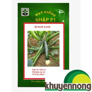 15 Hạt giống quả bí ngòi xanh