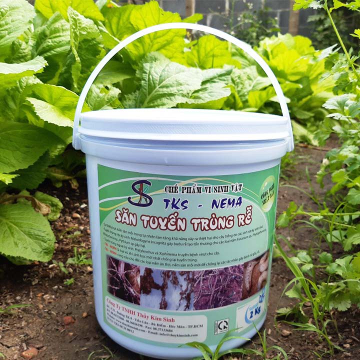 SĂN TUYẾN TRÙNG Bảo Vệ Rễ - Bột Hòa Tan TKS NEMA