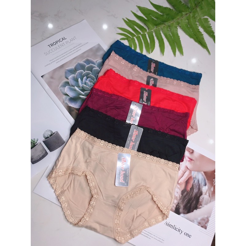 Quần lót nữ Thái Lan cotton pha ren mã SISTERHOOD 551 nhập khẩu THÁI LAN