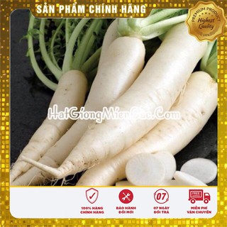 Hạt Giống Củ Cải Trắng(20gr)