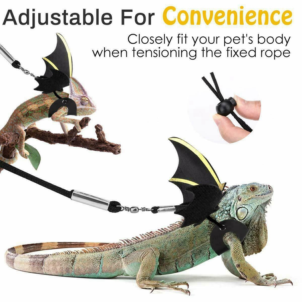 LIZARD Dây Dắt Thú Cưng Bò Sát 3 Kích Cỡ Bằng Da Thật