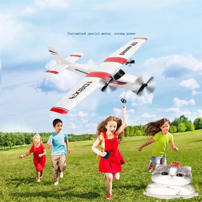 Máy Bay Đồ Chơi Điều Khiển Từ Xa Fx801 Rc Epp 2.4g 2ch