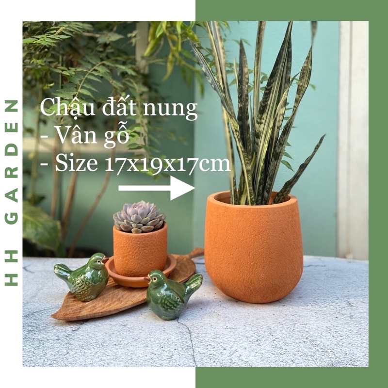 Chậu đất nung Vân gỗ, size 17x19x17cm (miệng x thân x cao) teracotta pot