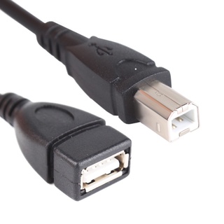 Cáp chuyển đổi từ usb 2.0 type a sang usb b 50cm 1.5ft cho máy in