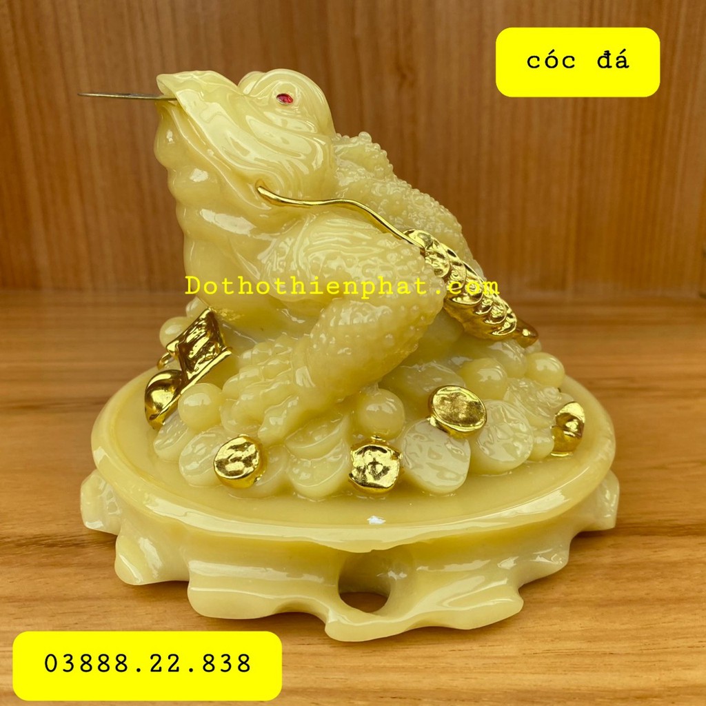 Cóc đá ngậm tiền phong thủy loại 1