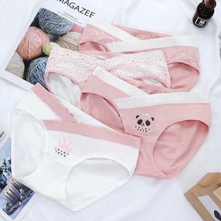 Combo 4 quần lót bầu cotton loại 1