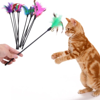 Đồ chơi gậy lông vũ trêu chọc huấn luyện vui nhộn cho mèo phong cách Thổ Nhĩ Kỳ