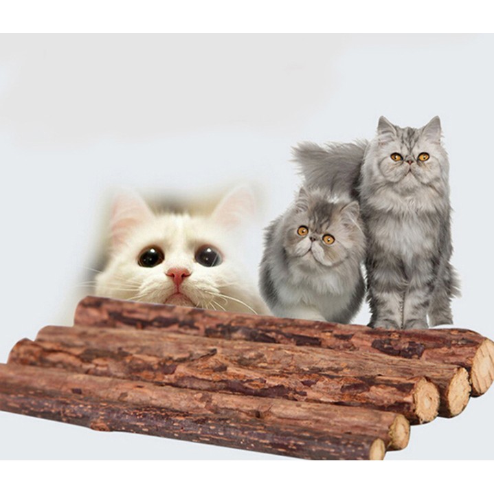 Set 5 Thanh Gỗ matatabi tự nhiên nhai gặm cho mèo - Gỗ Mài Răng Cho Mèo Cưng