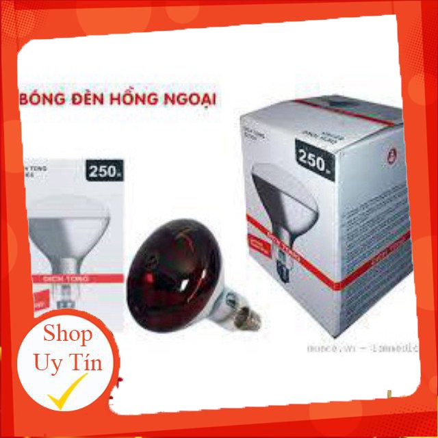 BÓNG ĐÈN HỒNG NGOẠI DỊCH TÔNG E27/ES 250W